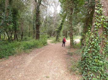 Tocht Stappen Valbonne - sophia aqueduc 1 - Photo