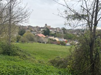 Tocht Stappen Mézin - De Mézin, la Médiévale à Poudenas, l'Italienne. - Photo