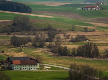 Randonnée A pied Peuerbach - Panoramaweg Süd - Photo