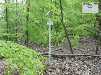 Percorso A piedi Püttlingen - Pfarrer-Rug-Weg - Photo