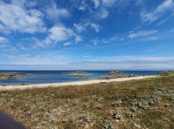 Tocht Stappen Cléder - Plouescat - Côte - Photo