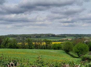 Tour Wandern Sains-du-Nord - Sains du Nord le bocage le vert buisson et Brode - Photo