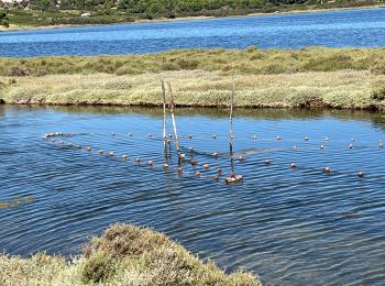 Trail Walking Gruissan - Capoulade - Photo