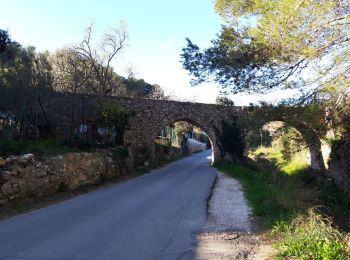 Randonnée Marche Cuers - Le Castellas Cuers - Photo