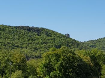 Percorso Marcia Gréoux-les-Bains - Gréoux, le Colostre et le Verdon. - Photo