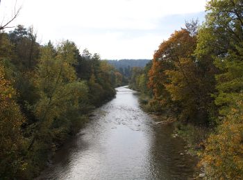 Percorso A piedi Volken - Volken - Neftenbach - Photo