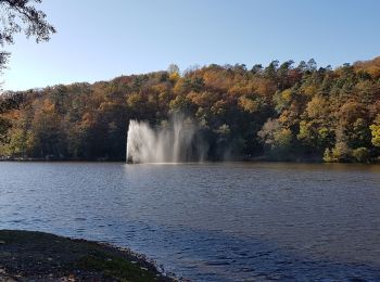 Tocht Stappen Spa - Lac de Warfaaz - Nivezé - Stockay - Photo