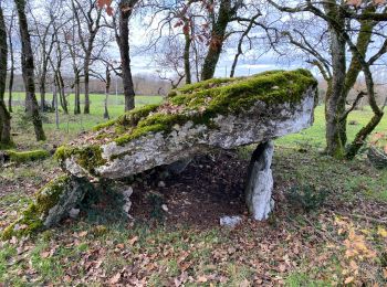 Randonnée Marche Lalbenque - Lalbenque pr courbesse - Photo