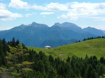 Trail On foot Domegge di Cadore - Sentiero del Pastore - Photo