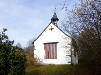 Excursión A pie Lindenfels - Rundwanderweg Glattbach 1: Schelmenacker-Weg - Photo