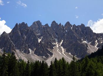 Tour Zu Fuß Toblach - IT-6A - Photo