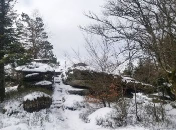 Tour Wandern Oberhaslach - MF Nideck Schneeberg  Wetzlach - Photo