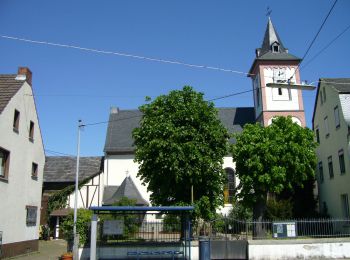 Randonnée A pied Melsbach - Rundwanderweg Rengsdorf 4 - Photo