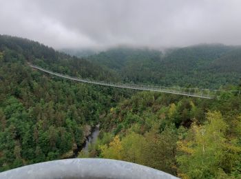 Tocht Stappen Grazac - la passerelle himalayenne  - Photo