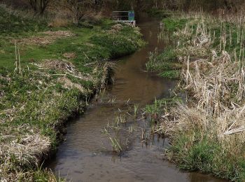 Randonnée A pied Guildford - Tillingbourne at work (long) (SCC) - Photo