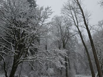 Tour Wandern Aachen - Aachenerwald ❄️⛄️ - Photo