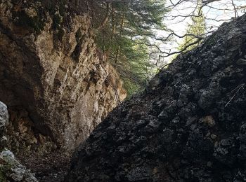 Trail Walking Rencurel - Pas de Pertuson et falaise de Méaudre - Photo