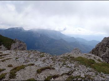 Tocht Paardrijden Saint-Agnan-en-Vercors - Vassieux Col du rousset vers Montagne de Peyre Rouge  - Photo