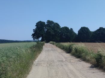 Tocht Stappen Villers-la-Ville - A la découverte de Villers-la-Ville  - Photo