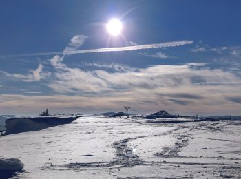 Percorso Marcia Le Bonhomme - 2019-01-19 Marche Neige Gazon du Faing - Photo