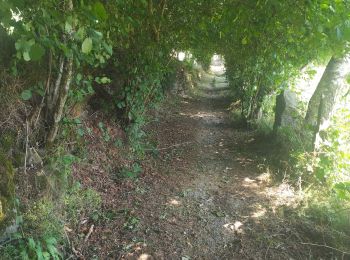 Excursión Senderismo Fridefont - Les gorges de Bès  - Photo