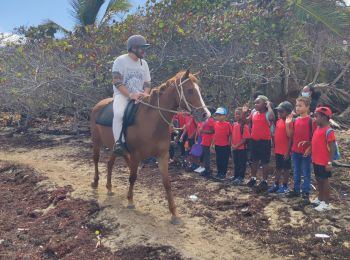 Tocht Stappen Le Vauclin - Randonnée scolaire - Photo