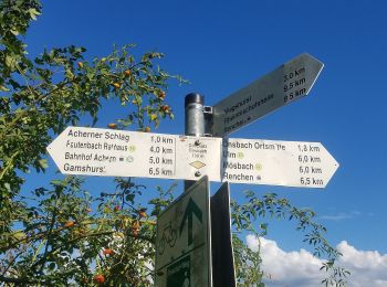 Tocht Te voet Achern - Heimatkundlicher Rundweg Fautenbach-Önsbach - Photo