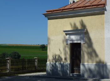 Excursión A pie Gemeinde Scheiblingkirchen-Thernberg - Scheiblingskirchen - Kaltenberg - Photo