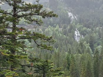 Tocht Stappen Benasque - Arboretum Turpi - Photo