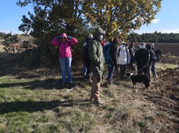 Trail Walking Redortiers - Le Redortiers avec HCE04 - Photo