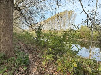 Tour Wandern Beveren - Verreboek 20 km - Photo