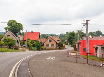 Randonnée A pied Nové Město nad Metují - CZ-4226 - Photo