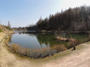 Tocht Te voet Goleszów - Szlak spacerowy 