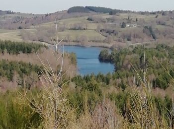 Randonnée Marche Peyrelevade - Fred lac du Chammet  - Photo