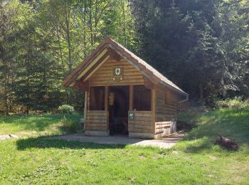 Randonnée Marche Stosswihr - Stosswihr L'Altenberg Le Sentier des Roches - Photo