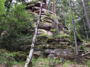 Tocht Stappen Breitenau - Fouchy  - Photo