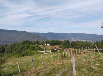 Tour Wandern Le Châtelard - Châtelard  - Photo