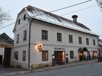 Tour Zu Fuß Bad Waltersdorf - Apfelwanderweg (W4) - Photo