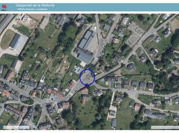 Trail Walking Theux - 20251117 - Jehanster 7.4 Km - Photo