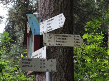 Tocht Te voet Lautenbach - Oberer Sendelbach - Oberer Höllwald - Photo