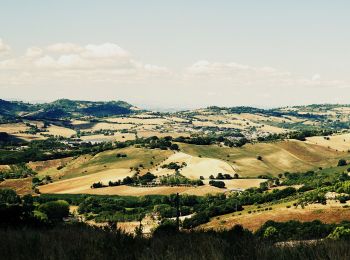 Tocht Te voet Ancona - Anello della Gradina - Photo