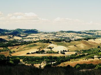 Randonnée A pied Ancône - Anello della Gradina - Photo