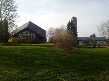 Percorso A piedi Walldürn - Rundwanderweg Hainstadt 3: Eiterbach-Weg - Photo