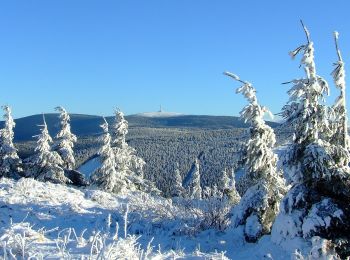 Excursión A pie Loučná nad Desnou - NS S Koprníčkem na výlet Keprnickými horami - Photo