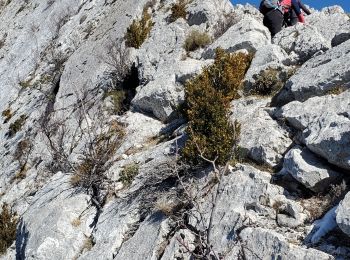 Randonnée Marche Castellane - robion sommet - Photo