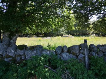 Percorso Marcia Saint-Laurent-de-Muret - Le truc de Crouzet - Photo