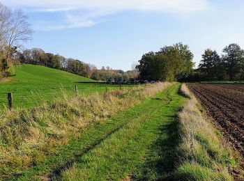 Tour Wandern Grez-Doiceau - Archennes - Gottechain - Photo