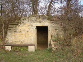 Trail On foot Kirchheim am Neckar - Weinterrassen - Photo