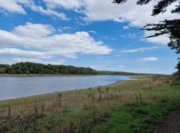 Tour Wandern Joué-sur-Erdre - Tour du lac de Vioreau - Photo