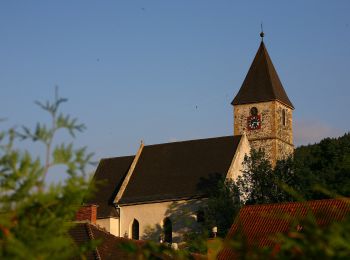 Randonnée A pied Gemeinde Payerbach - Payerbach - Steinhöfler - Photo